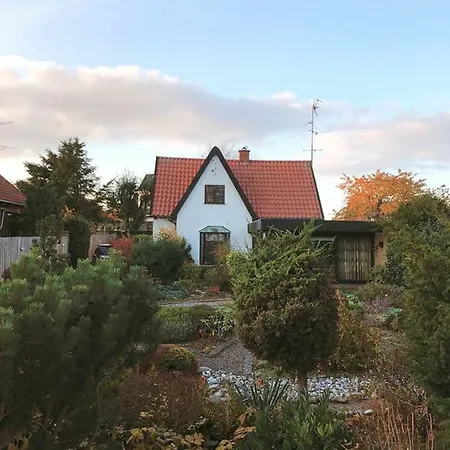 The Retro House *